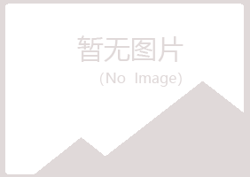 大庆冰夏建设有限公司